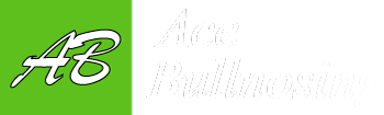 Ace Bullnosing Logo